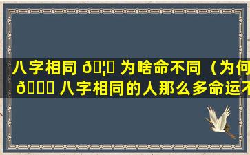 八字相同 🦟 为啥命不同（为何 🐋 八字相同的人那么多命运不一样）